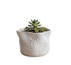 TOPOGRAPHO
