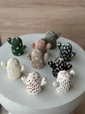 MINI CACTUS - PINKS