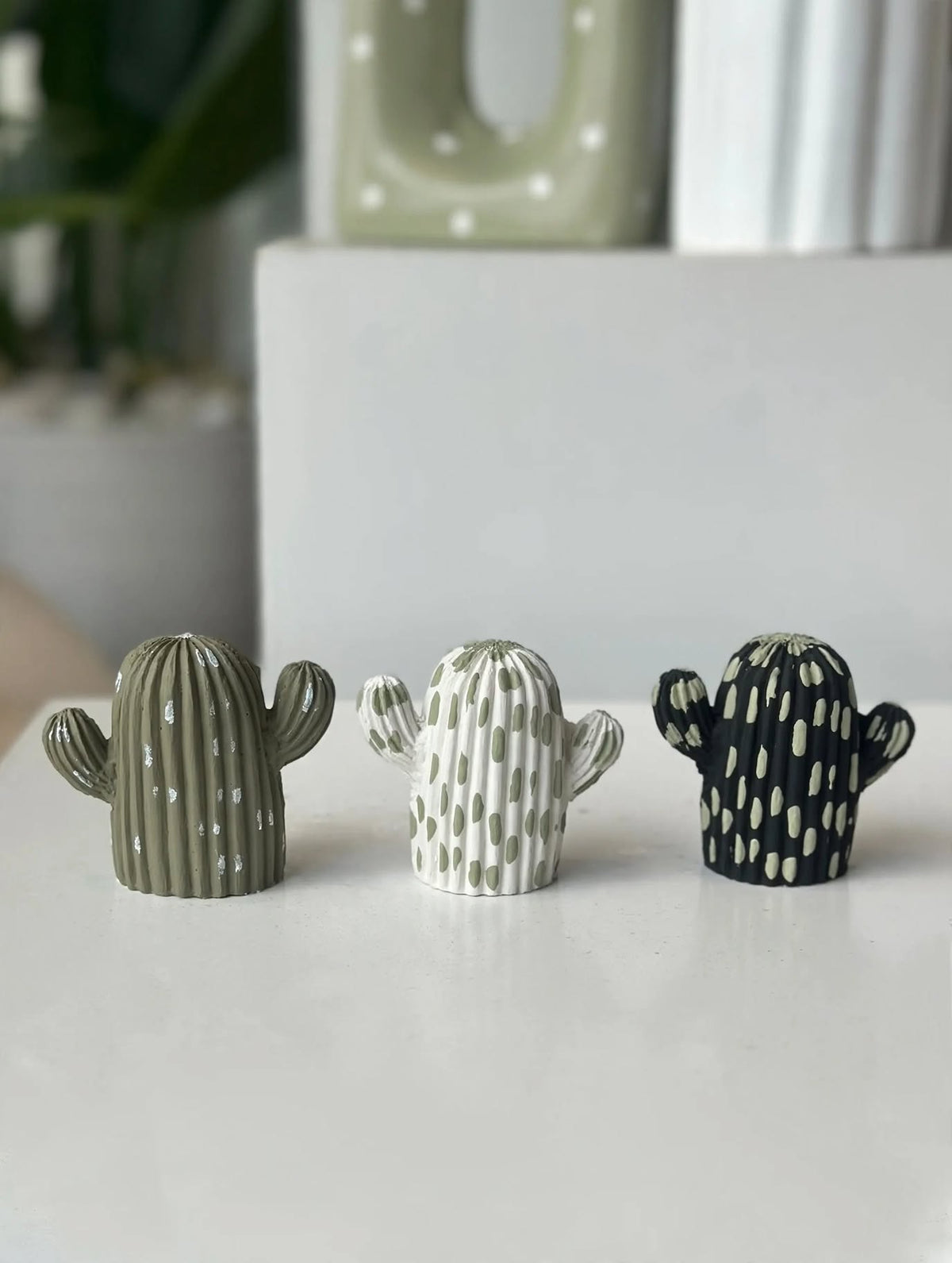 MINI CACTUS - GREENS