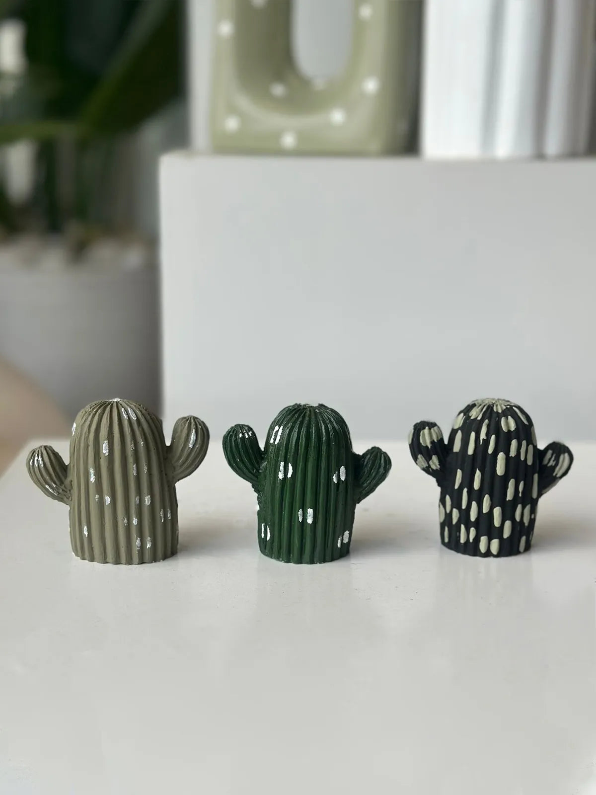 MINI CACTUS - GREENS
