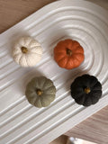 MINI PUMPKIN