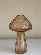 HAZEL MUSHROOM