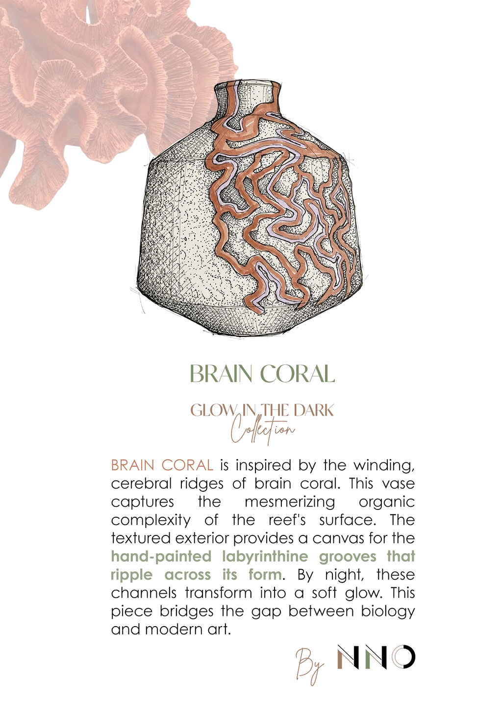 BRAIN CORAL