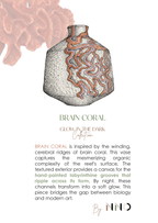 BRAIN CORAL