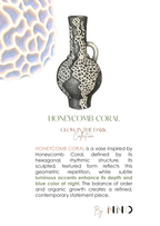 HONEYCOMB CORAL