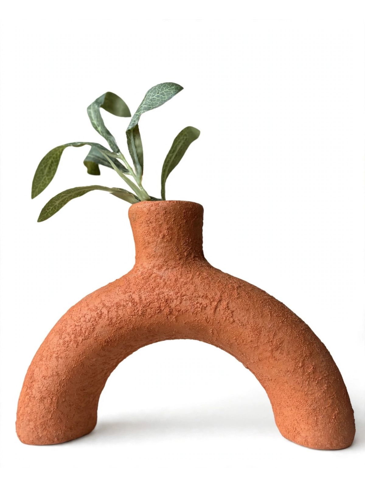 ARC DONUT