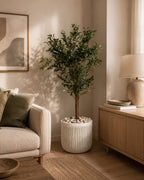 OLIVES FRUTA POT