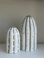 NNO CACTUS (Textured)
