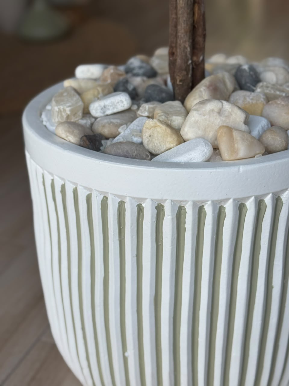 OLIVES FRUTA POT