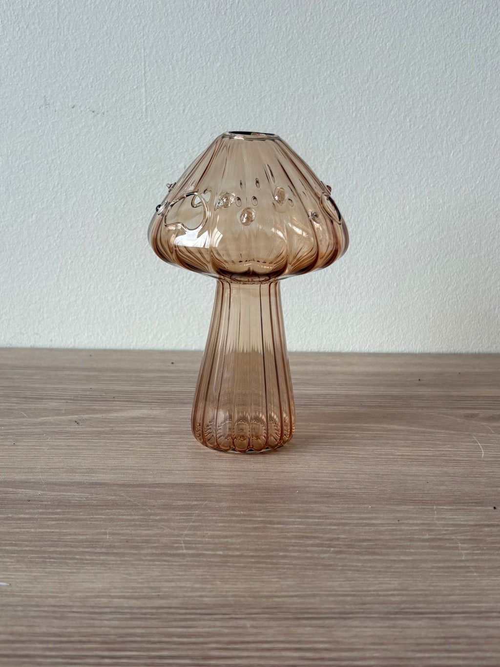HAZEL MUSHROOM