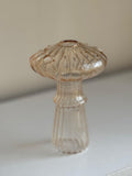 ORANGE MUSHROOM