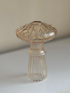 ORANGE MUSHROOM