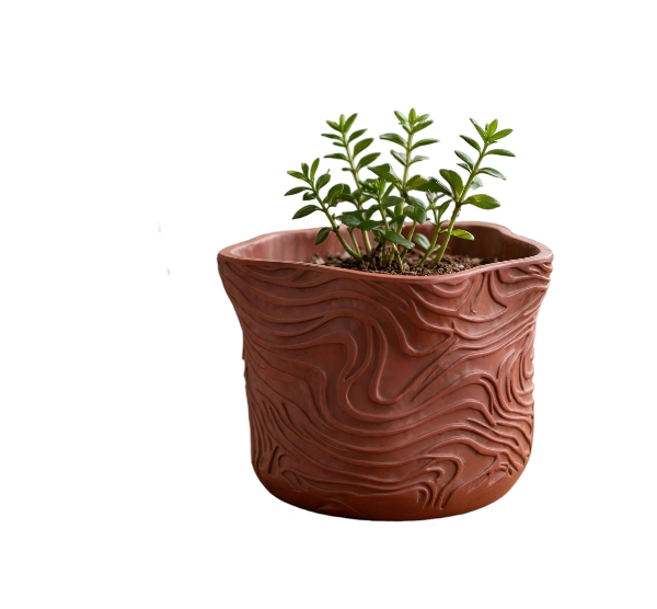 Plant Pot