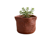 TOPOGRAPHO