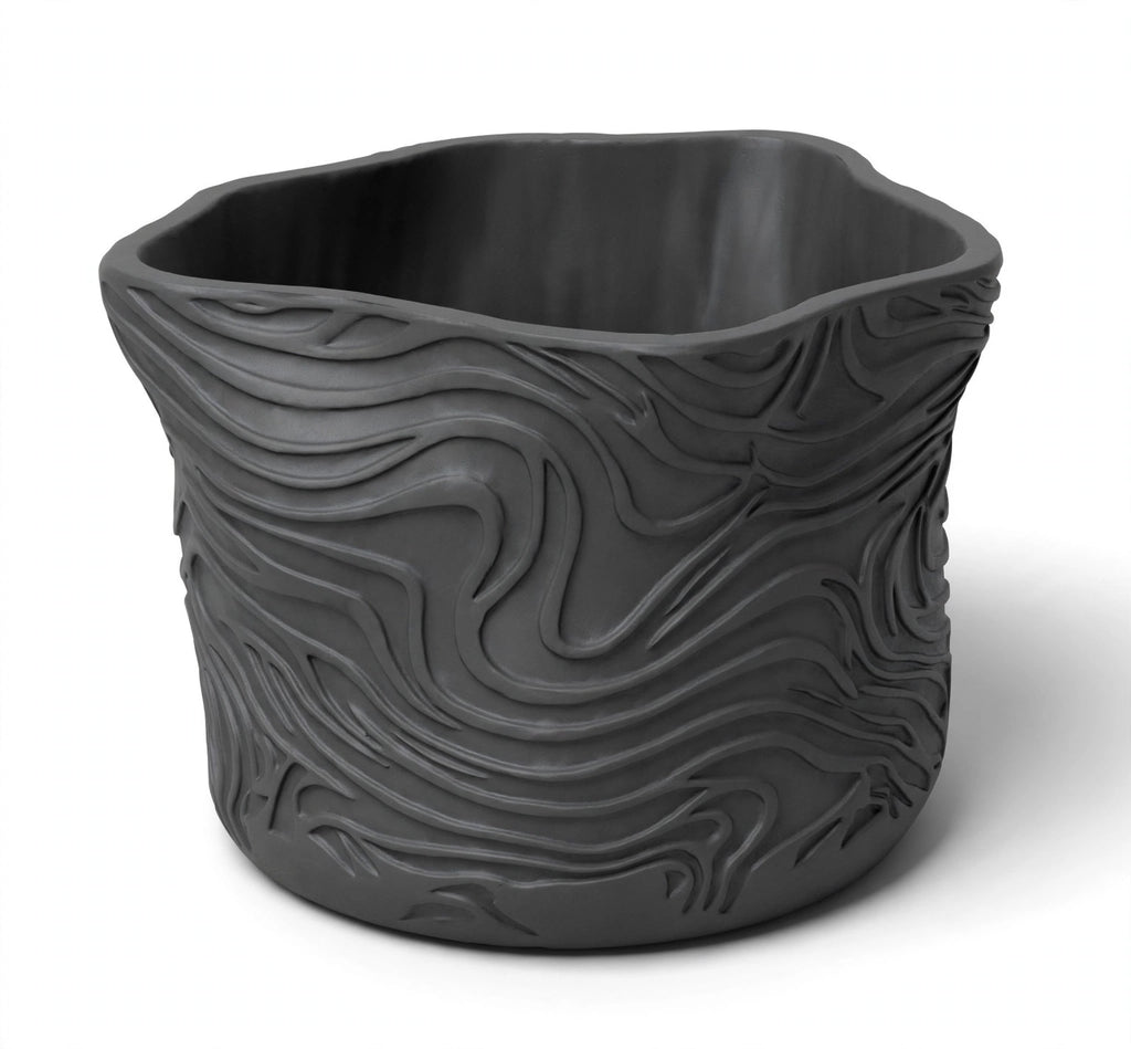 TOPOGRAPHO