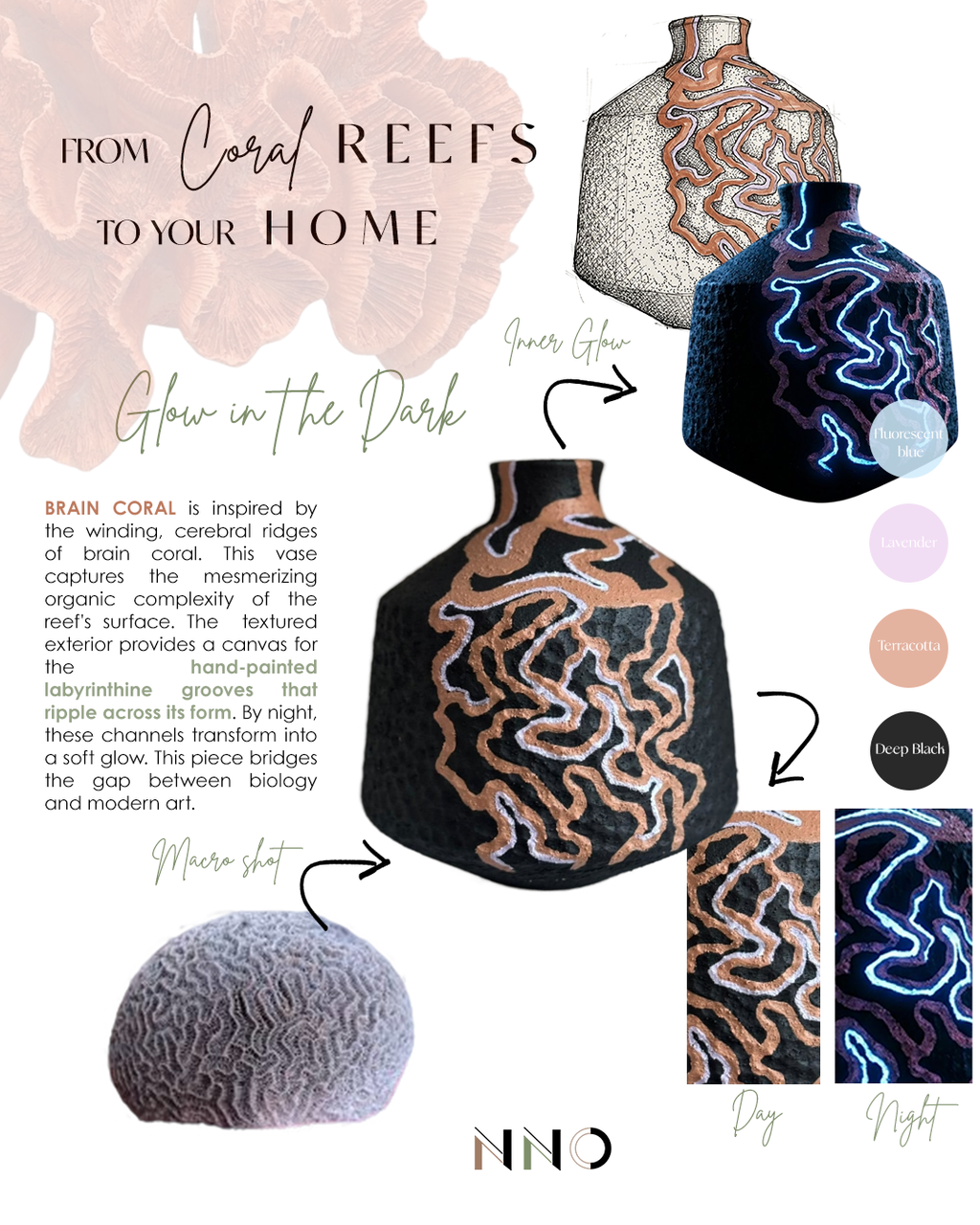 BRAIN CORAL