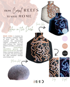 BRAIN CORAL