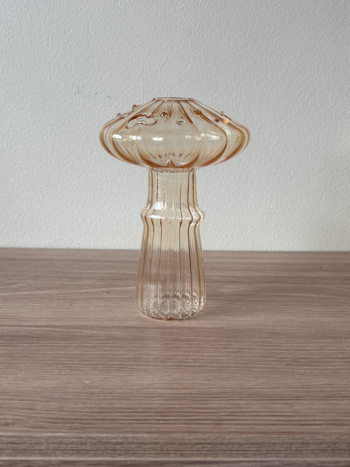 ORANGE MUSHROOM