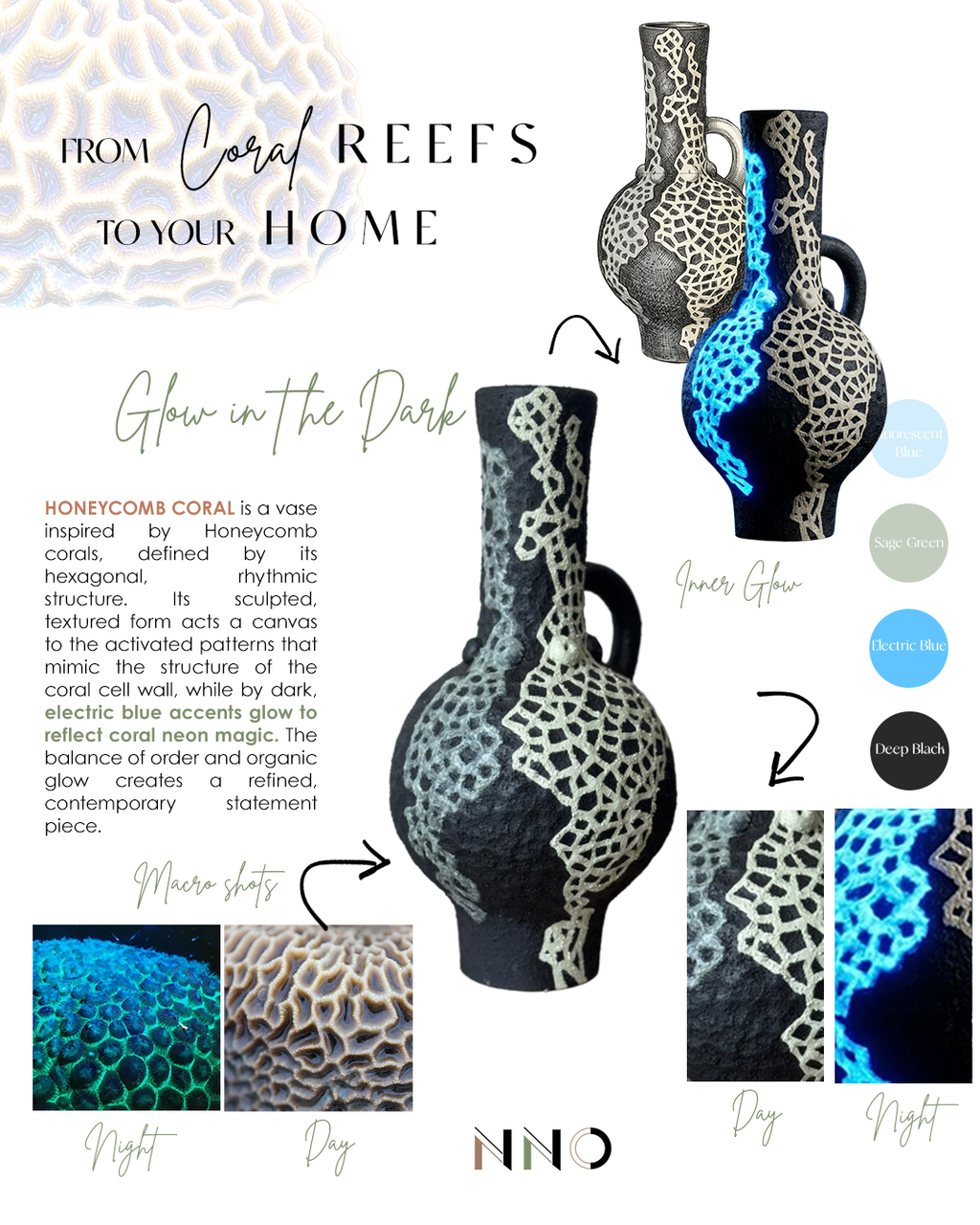 HONEYCOMB CORAL