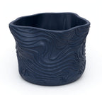 TOPOGRAPHO