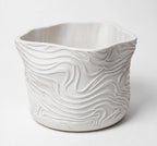 TOPOGRAPHO