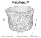 TOPOGRAPHO