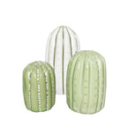 NNO CACTUS