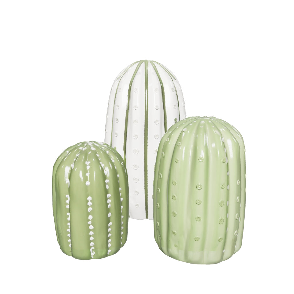 NNO CACTUS